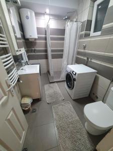 ein Badezimmer mit einem WC und einer Waschmaschine in der Unterkunft Apartment Pegy in Novi Grad