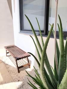 eine Holzbank neben einem Fenster in der Unterkunft Maison Playa in Playa del Carmen