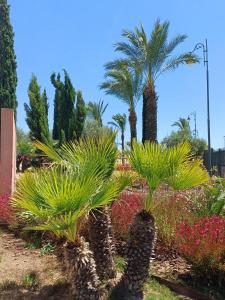 Fotografie z fotogalerie ubytování La Isla Casa de Franco - Condado De Alhama Golf Course v destinaci Alhama de Murcia