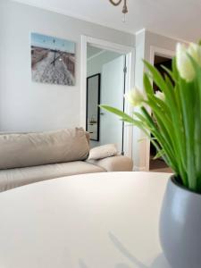 salon z kanapą i rośliną na stole w obiekcie Three By The Sea apartments at Albatross Home w mieście Ķesterciems