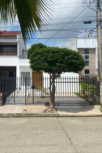 モンテリアにあるHermosa casa en Costa de Oroの鉄塀前の木