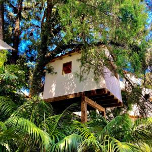 a tree house in the middle of a forest at Casa Don Pancho in Cuernavaca