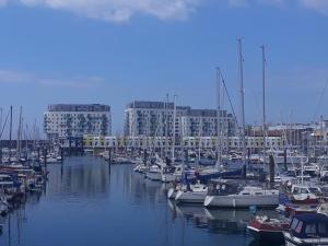a bunch of boats docked in a marina with buildings at Unique, loft-style apartment with fantastic Brighton Marina views in Brighton & Hove