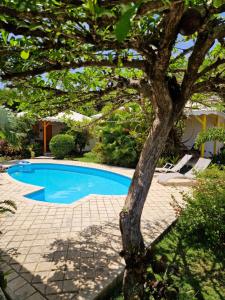 a swimming pool with a tree in the foreground at Bungalows du Soleil - Piscine Jardin Fleuri in Le Gosier