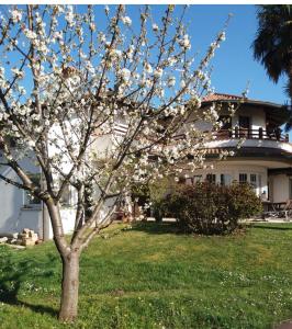 un albero con fiori bianchi sopra di esso di fronte a una casa di La casa di Laura a Lignano Sabbiadoro