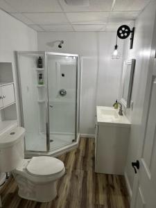 een badkamer met een douche, een toilet en een wastafel bij windrock ridge - Ethan in Oak Ridge