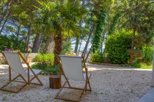 two chairs and a palm tree in a park at Apartments Maris in Baška Voda