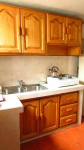 Kuchyň nebo kuchyňský kout v ubytování Apartamentos Los Quipus