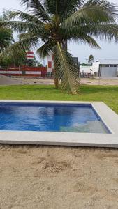 una piscina azul junto a una palmera en Happy tower, en Barra de Navidad