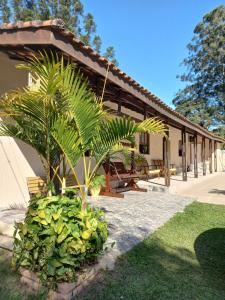 a palm tree in front of a house at Sítio Toa Toa in São Roque