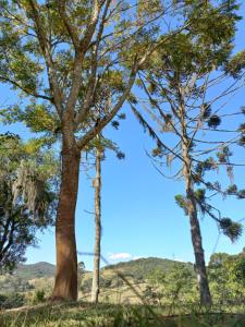 a group of trees with a mountain in the background at Sítio Toa Toa in São Roque