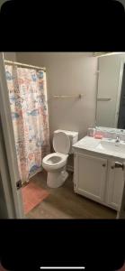 La salle de bains est pourvue de toilettes, d'un lavabo et d'un miroir. dans l'établissement Nice and cozy, à Huntsville