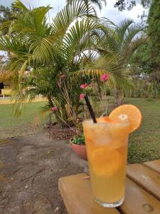a drink sitting on a table with an orange slice at Sítio Toa Toa in São Roque