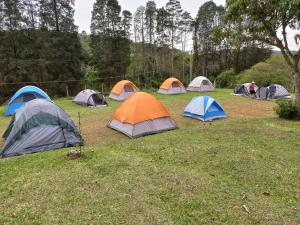 a group of tents in a grass field at Sítio Toa Toa in São Roque