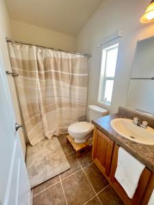 a bathroom with a shower and a toilet and a sink at Bodhi House, Joshua Tree National Park in Twentynine Palms