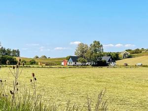 Naturlandschaft in der Nähe des Ferienhauses