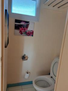 Bagno di STUDIO FONCTIONNEL dans HOTEL CARAYOU SPA PISCINES