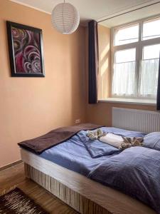 1 dormitorio con cama con sábanas azules y ventana en Holiday home in Heviz - Balaton 44882, en Hévíz