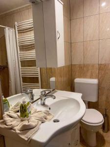 bagno con lavandino, servizi igienici e specchio di Holiday home in Heviz - Balaton 44882 a Hévíz