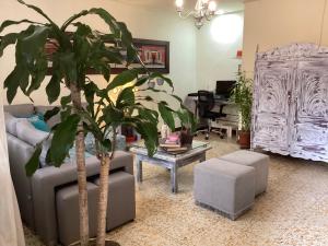 ein Wohnzimmer mit einem Sofa und einer Palme in der Unterkunft Manila Su Casa in Medellín