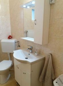 uma casa de banho com um lavatório, um WC e um espelho. em Apartment in Keszthely - Balaton 44884 em Keszthely