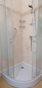 y baño con ducha y puerta de cristal. en Apartment in Keszthely - Balaton 44884 en Keszthely