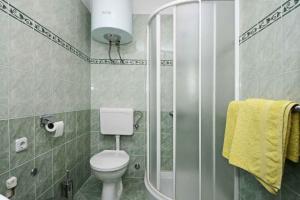 Koupelna v ubytování Apartment in Baderna - Istrien 44223