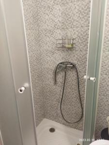 a shower with a shower head in a bathroom at Holiday home in Kisnana - Ostungarn 44896 in Kisnána