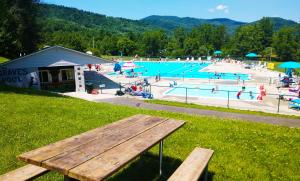 a park with a large swimming pool with a wooden bench at Graves Mountain Farm & Lodges in Syria