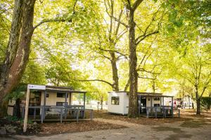 a couple of buildings in a park with trees at Tawonga Tourist Park in Tawonga