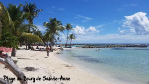 a beach with palm trees and people in the water at Bungalow Les Iguanes - CocoCyrna in Sainte-Anne