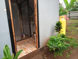 una puerta abierta a una casa con plantas en Moehiva Camping Rapa Nui, en Hanga Roa