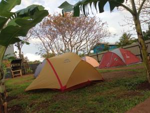 un gruppo di tende che si trovano nell'erba di Moehiva Camping Rapa Nui a Hanga Roa