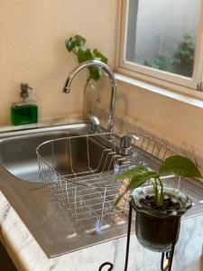 a kitchen sink with a plant in a basket at Casa Pirules- Parque Metropolitano in León