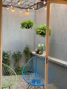 a blue chair in a patio with plants and lights at Casa Pirules- Parque Metropolitano in León