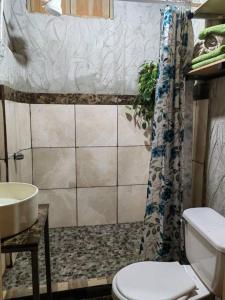 a bathroom with a toilet and a sink at Casa Rústica Pura Vibra in Alajuela City