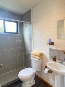 een badkamer met een toilet en een wastafel bij Cabañas Lovel-Van in Curanipe