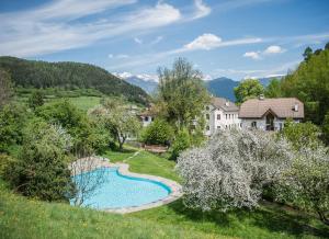 A view of the pool at Apartments Ansitz Wildberg or nearby