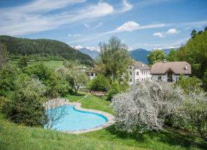 a house with a swimming pool in the middle of a yard at Apartments Ansitz Wildberg in San Lorenzo di Sebato