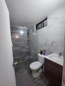 uma casa de banho com um WC, um lavatório e um chuveiro em Encantador y Confortable Apartamento em Neiva