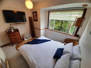 ein Schlafzimmer mit einem Bett, einem Sofa und einem Fenster in der Unterkunft Relaxing / Minimalist homestay - 1 Bed & Bath in Camp John Hay