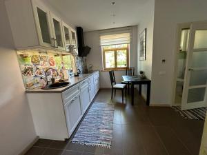 uma cozinha com um lavatório, uma mesa e um balcão em Studio apartment in private house em Riga