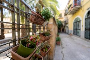 巴勒莫Cortile dei Giusti - Combo Guesthouse的相册照片