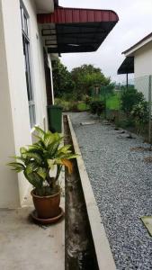 a potted plant sitting next to a building at Cozy Homestay in Central Pokok Sena in Pokok Sena