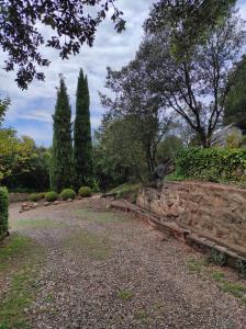 Vonkajšia záhrada v ubytovaní Allotjament Rural Solsona