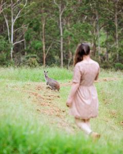 a woman running in a field with a kangaroo at Bluegums Cabins Barrington Tops in Bandon Grove