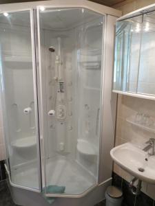 eine Dusche mit Glastür neben einem Waschbecken in der Unterkunft Ferienwohnung Dörner in Pirna