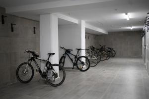 Jazda na bicykli v okolí ubytovania micampus Avenida del Puerto - Residencia de Estudiantes
