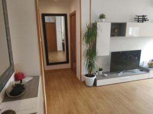 a living room with a flat screen tv and potted plants at Bedroom to rent in the beach in Valencia