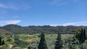 a view of a valley with trees and mountains at Antoni Apartment in Lastovo